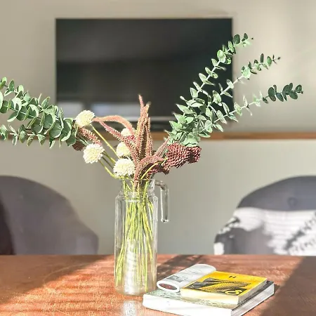 Будинок відпочинку Timuti Art *